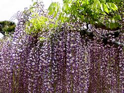 ���ގ��̂ӂ��I